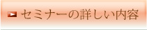 Z~i[̏ڂe